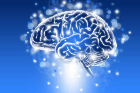 NEURODIVERSITY and ACCOMMODATIONS